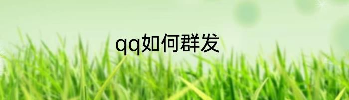 qq如何群发