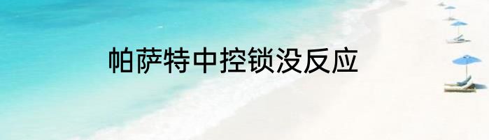 帕萨特中控锁没反应