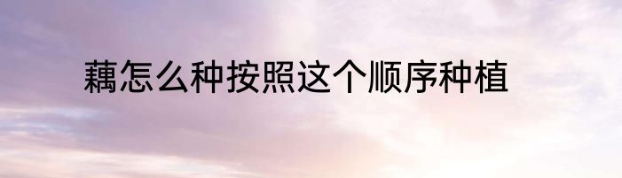 藕怎么种按照这个顺序种植