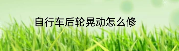 自行车后轮晃动怎么修