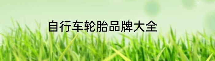 自行车轮胎品牌大全