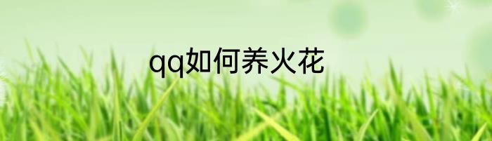 qq如何养火花
