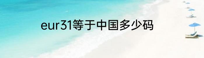 eur31等于中国多少码