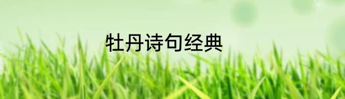 牡丹诗句经典