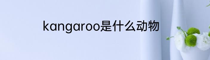 kangaroo是什么动物