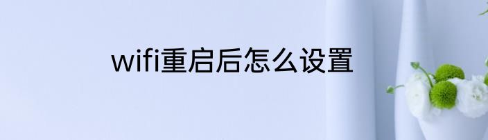 wifi重启后怎么设置