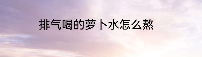 排气喝的萝卜水怎么熬