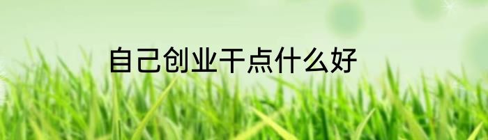 自己创业干点什么好