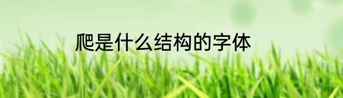 爬是什么结构的字体