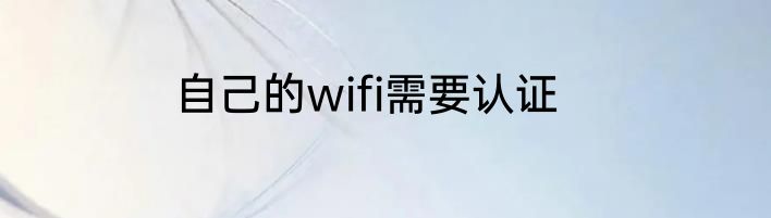 自己的wifi需要认证