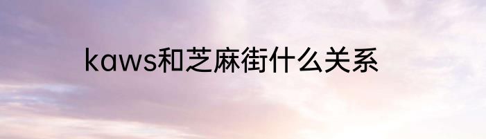 kaws和芝麻街什么关系