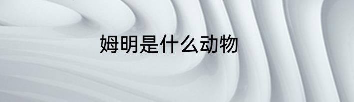 姆明是什么动物