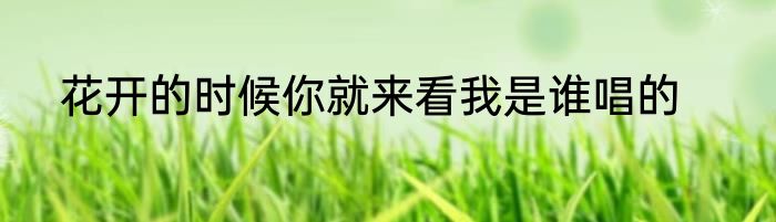 花开的时候你就来看我是谁唱的