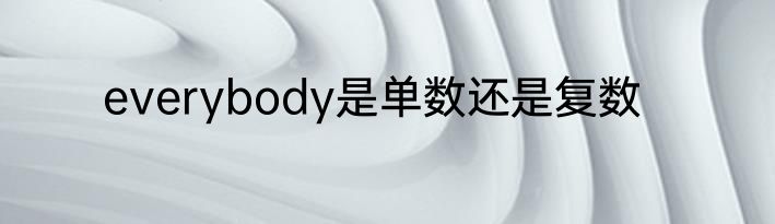 everybody是单数还是复数