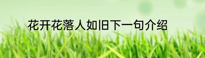 花开花落人如旧下一句介绍