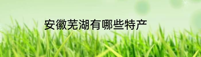 安徽芜湖有哪些特产
