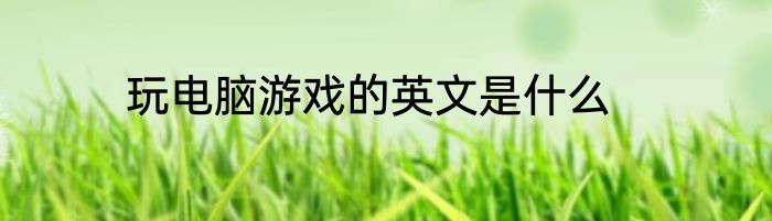 玩电脑游戏的英文是什么