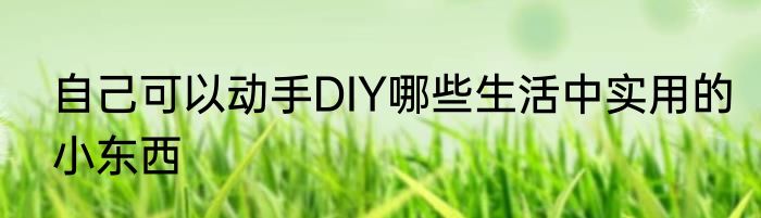 自己可以动手DIY哪些生活中实用的小东西