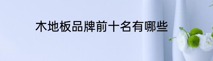 木地板品牌前十名有哪些