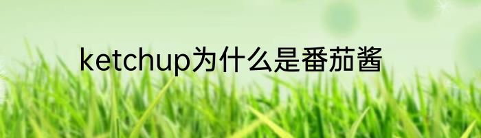 ketchup为什么是番茄酱