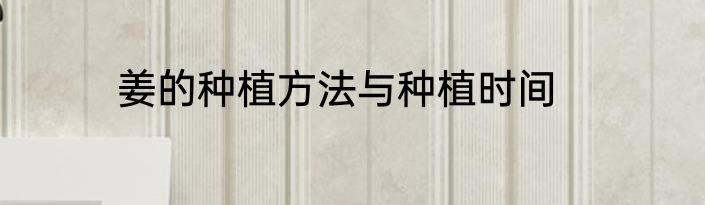 姜的种植方法与种植时间
