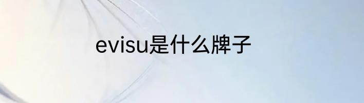 evisu是什么牌子