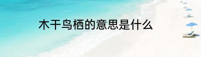 木干鸟栖的意思是什么