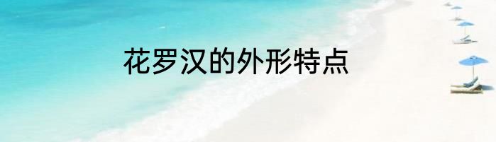 花罗汉的外形特点