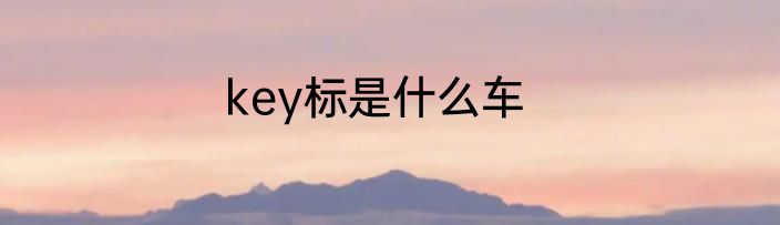 key标是什么车