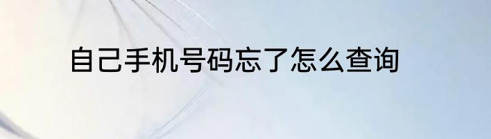 自己手机号码忘了怎么查询