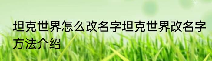 坦克世界怎么改名字坦克世界改名字方法介绍