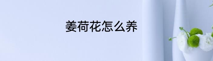 姜荷花怎么养