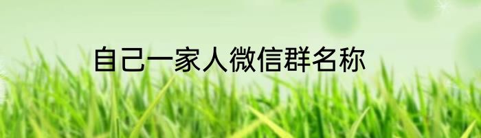 自己一家人微信群名称