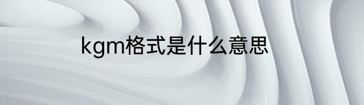 kgm格式是什么意思