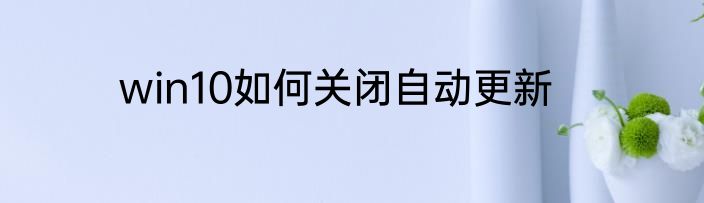 win10如何关闭自动更新