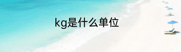kg是什么单位