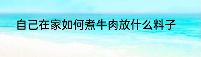 自己在家如何煮牛肉放什么料子