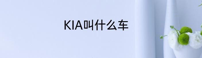 KIA叫什么车
