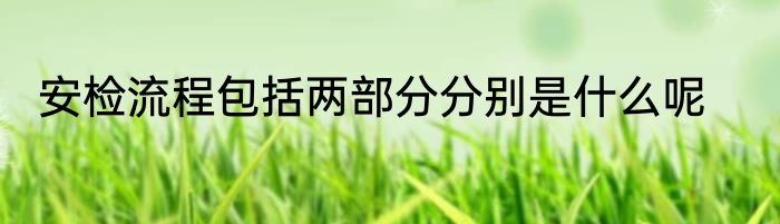 安检流程包括两部分分别是什么呢