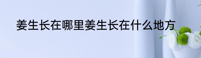 姜生长在哪里姜生长在什么地方