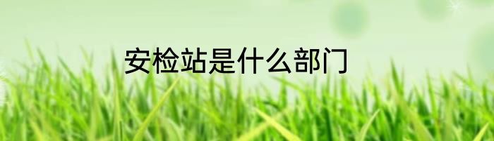 安检站是什么部门
