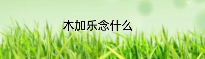 木加乐念什么