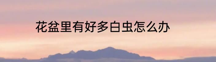 花盆里有好多白虫怎么办
