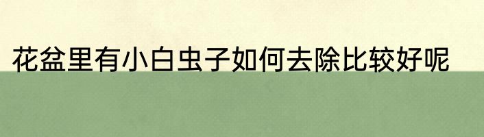 花盆里有小白虫子如何去除比较好呢
