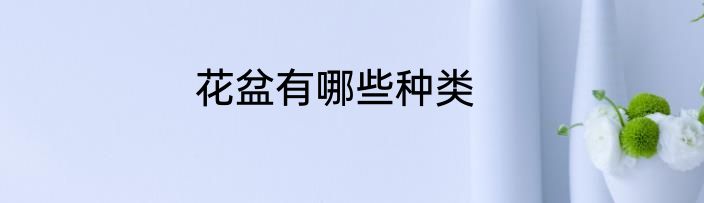 花盆有哪些种类