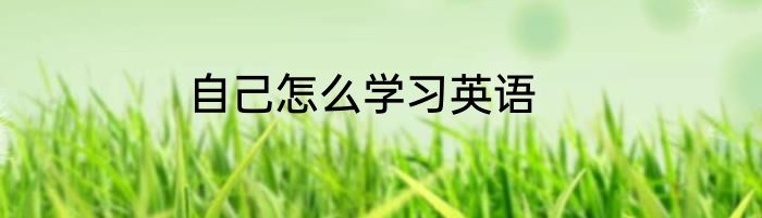 自己怎么学习英语