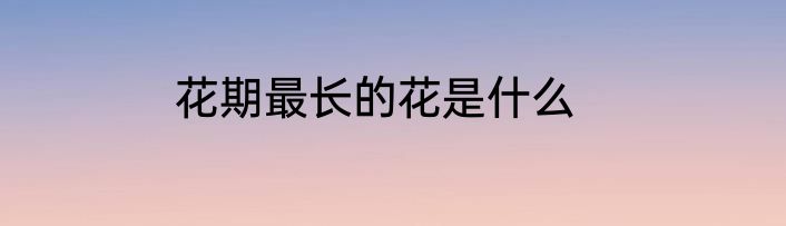 花期最长的花是什么