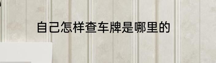 自己怎样查车牌是哪里的