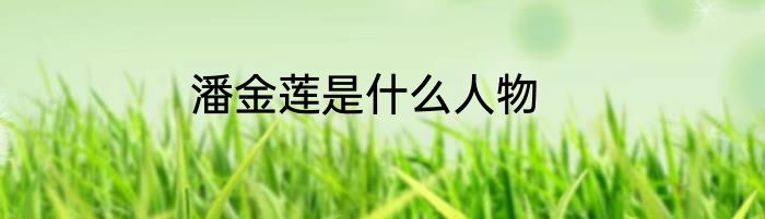 潘金莲是什么人物