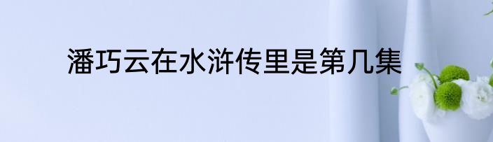 潘巧云在水浒传里是第几集